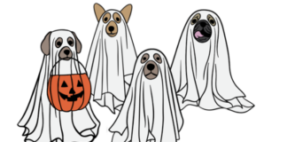 Tricks, Treats & Tails returns to downtown Findlay